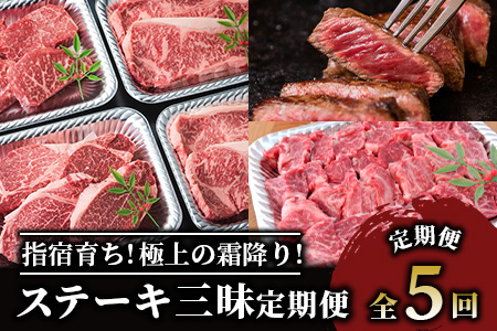 【全５回定期便】 大満足 ステーキ 三昧 定期便 (Meat you/Z-047)  黒毛 姫牛 A4ランク リブロース サーロイン フイレ モモ サイコロステーキ 国産 和牛 牛肉 黒毛和牛