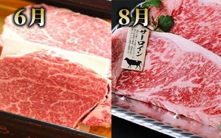 【全５回定期便】 大満足 ステーキ 三昧 定期便 (Meat you/Z-047)  黒毛 姫牛 A4ランク リブロース サーロイン フイレ モモ サイコロステーキ 国産 和牛 牛肉 黒毛和牛