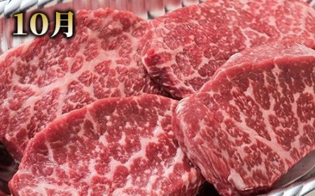 【全５回定期便】 大満足 ステーキ 三昧 定期便 (Meat you/Z-047)  黒毛 姫牛 A4ランク リブロース サーロイン フイレ モモ サイコロステーキ 国産 和牛 牛肉 黒毛和牛