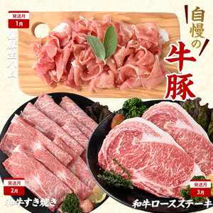 2026年発送 先行予約 全10回 鹿児島 豚 牛 うなぎ 満足 定期便 水迫畜産 Z100-528 定期便