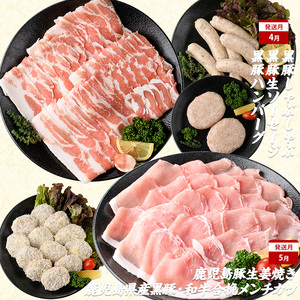 2026年発送 先行予約 全10回 鹿児島 豚 牛 うなぎ 満足 定期便 水迫畜産 Z100-528 定期便