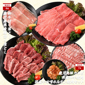 2026年発送 先行予約 全10回 鹿児島 豚 牛 うなぎ 満足 定期便 水迫畜産 Z100-528 定期便