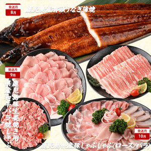 2026年発送 先行予約 全10回 鹿児島 豚 牛 うなぎ 満足 定期便 水迫畜産 Z100-528 定期便