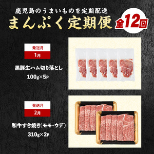 2026年発送 先行予約 全12回定期便 鹿児島自慢の豚 牛 うなぎ まんぷく 定期便 水迫畜産 Z100-1773