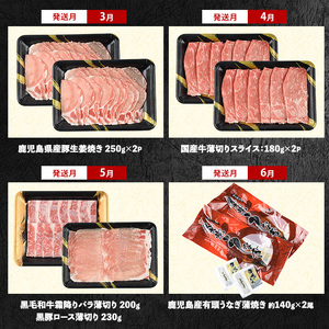 2026年発送 先行予約 全12回定期便 鹿児島自慢の豚 牛 うなぎ まんぷく 定期便 水迫畜産 Z100-1773