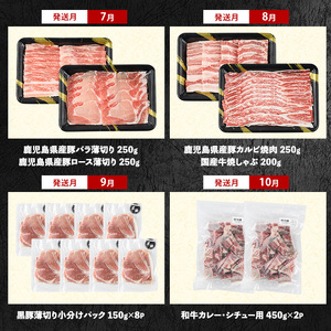 2026年発送 先行予約 全12回定期便 鹿児島自慢の豚 牛 うなぎ まんぷく 定期便 水迫畜産 Z100-1773