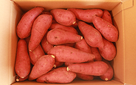 【2025年11月中旬～発送】指宿産 紅はるか 約7kg(アグリスタイル/A-301) サツマイモ 薩摩芋 焼芋 やきいも 焼きいも スイーツ おやつ デザート