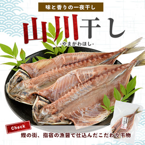 漁師が作った美味しい山川干物セット 指宿山川水産 010-1916 干物 干物
