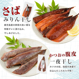 漁師が作った美味しい山川干物セット 指宿山川水産 010-1916 干物 干物