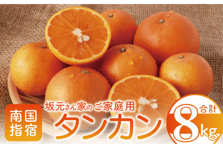 2026年2月下旬～発送 みかん農家坂元さんちのタンカン ご家庭用 約8kg 坂元果樹園 A-056 みかん みかん