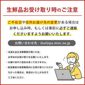 2026年2月上旬~発送 指宿産さや付きソラマメ いろどり小町 約1.5kg ナマケモノ畑 A-319 鹿児島県 指宿市 そらまめ そらまめ