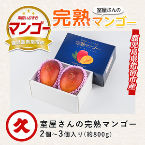 【2026年発送】完熟 指宿産 マンゴー 約800g 前後 2～3個入 中園久太郎商店 IB016-001 マンゴー フルーツ 果物