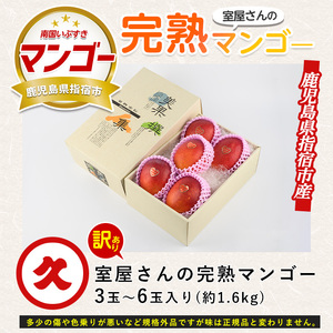 【2026年発送】訳あり 完熟 マンゴー 約1.6kg 3～6玉 中園久太郎商店 017-1760 マンゴー フルーツ 果物 わけあり