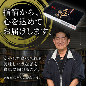 鹿児島県産 鰻 の 蒲焼 無頭背開き 約165g×2尾 山中水産 016-1065 うなぎ うなぎ