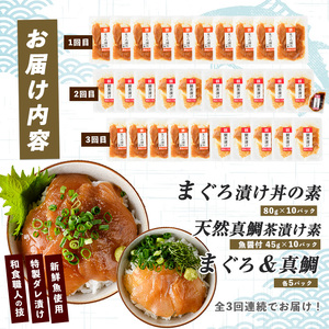 全3回 定期便 海鮮 のっけ 丼 定期便 指宿山川水産 Z030-1662