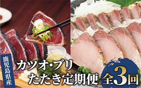 【定期便 全３回】カツオとブリのたたき 定期便 (指宿食品/Z041-307) 定期便 人気定期便