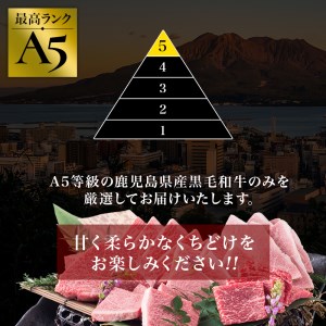 A5等級鹿児島県産黒毛和牛霜降りリブローススライス400g(カミチク/016-1195)