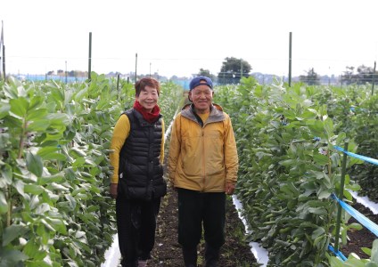 2025年3月上旬頃～発送【産地直送！新鮮旬野菜！】ご家庭用そら豆約5kg(指宿促成青果/A-414) 鹿児島 そら豆 ソラマメ さや付き 野菜 豆 ご家庭用 指宿市