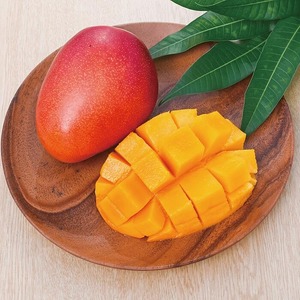 2026年 発送 訳あり 地下から湧き出る温泉と蒸気熱を利用栽培した温泉完熟マンゴー 約2kg トロピカルファームいぶすき 033-1766 マンゴー フルーツ 果物 旬 夏 指宿 いぶすき 鹿児島