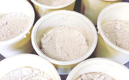 鹿児島県指宿製造の米味噌5kg コバンキュー醸造 013-1990 味噌 味噌