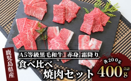 A5等級鹿児島県産黒毛和牛食べ比べ焼肉セット(カミチク/013-1194)