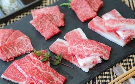 A5等級鹿児島県産黒毛和牛 食べ比べ焼肉セット カミチク 013-1194 牛肉 牛肉