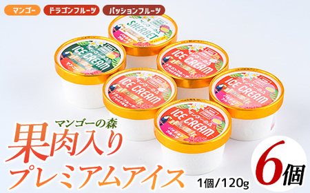 ゴロゴロ果肉入りプレミアムアイス6個セット マンゴーの森 013-1212 アイス アイス