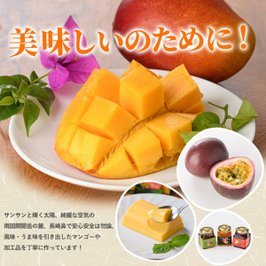 ゴロゴロ果肉入りプレミアムアイス6個セット マンゴーの森 013-1212 アイス アイス