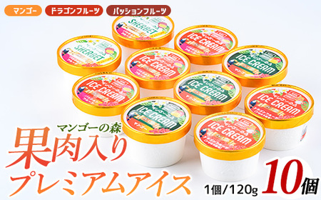 ゴロゴロ果肉入りプレミアムアイス10個セット マンゴーの森 022-1211 アイス アイス