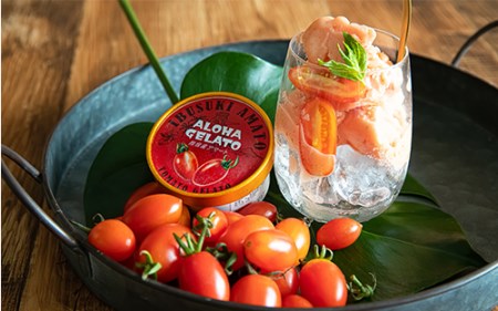 肉屋が作った お肉に合う指宿産 アイコ トマト ジェラート 90ml×6個 Meat you 010-021 アイス アイス