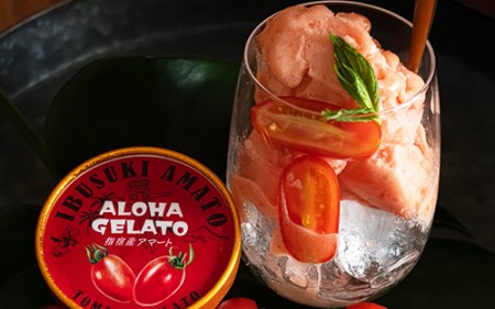 肉屋が作った お肉に合う指宿産 アイコ トマト ジェラート 90ml×6個 Meat you 010-021 アイス アイス