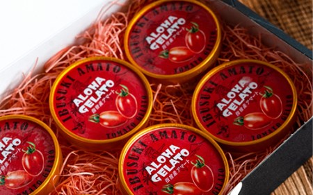 肉屋が作った お肉に合う指宿産 アイコ トマト ジェラート 90ml×6個 Meat you 010-021 アイス アイス