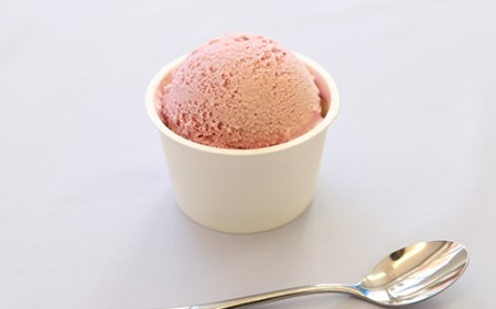 こだわりの逸品 特別な紫いもアイス 8個 イッシーホンポ 010-175 アイス アイス