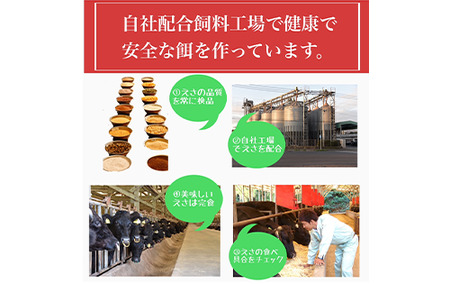 鹿児島県産黒毛和牛 5等級切落し900g 水迫畜産 016-1292 牛肉 牛肉