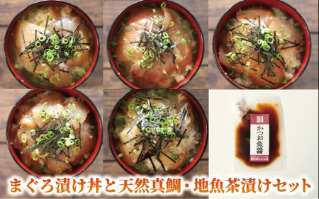 全３回定期便 指宿発 ご飯のお供セット 指宿山川水産 Z030-１７１６定期便 定期便 