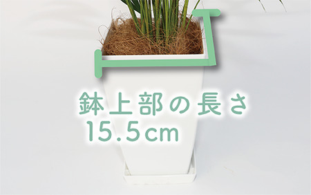 2025年3月中旬頃～発送【観葉植物】アレカヤシ60cm～80cm(Green Base/017-1366) 南国鹿児島県で育った 観葉植物！植物 鉢付 インテリア 室内 オフィス おしゃれ プレゼント ギフト 開店祝い 移転祝い マイナスイオン【配送不可地域：北海道・沖縄県・離島】