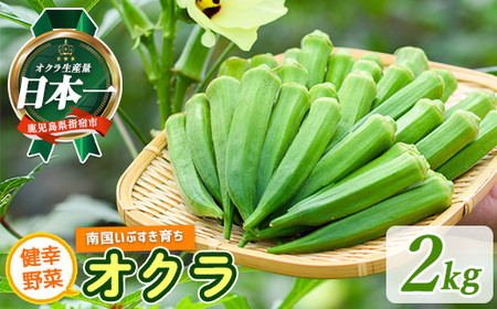 指宿(いぶすき)産オクラ2kg(オネファーム/010-461) 野菜 夏野菜 旬 特産 夏 新鮮 オクラ 鹿児島 オネファーム 指宿市 漬物 お福分け おすそ分け