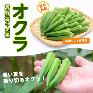 指宿(いぶすき)産オクラ2kg(オネファーム/010-461) 野菜 夏野菜 旬 特産 夏 新鮮 オクラ 鹿児島 オネファーム 指宿市 漬物 お福分け おすそ分け