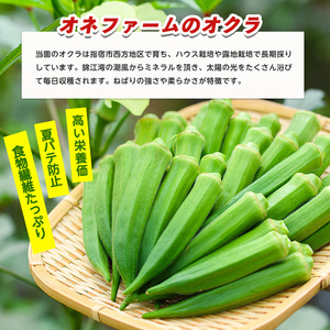 指宿(いぶすき)産オクラ2kg(オネファーム/010-461) 野菜 夏野菜 旬 特産 夏 新鮮 オクラ 鹿児島 オネファーム 指宿市 漬物 お福分け おすそ分け