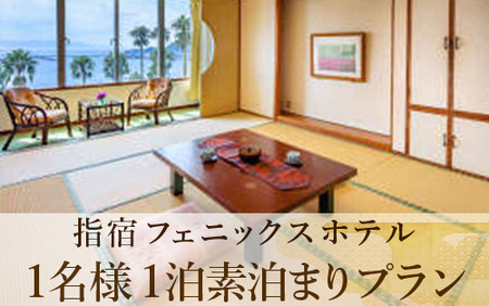 鹿児島ひとり旅 1泊素泊まり宿泊券 指宿フェニックスホテル 033-1102 宿泊券 宿泊券