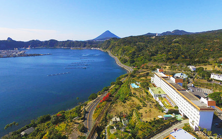 鹿児島ひとり旅 1泊素泊まり宿泊券 指宿フェニックスホテル 033-1102 宿泊券 宿泊券