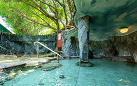 鹿児島ひとり旅 1泊素泊まり宿泊券 指宿フェニックスホテル 033-1102 宿泊券 宿泊券