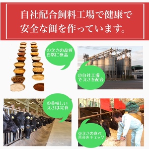 鹿児島県産5等級黒毛和牛 薄切りすき焼き・しゃぶしゃぶ500g 水迫畜産 010-542 23-GP3 牛肉 牛肉