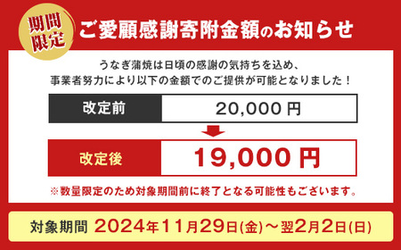 ＼2月2日まで／20000円→19000円【ご愛顧感謝寄附額】【鹿児島県産】うなぎ蒲焼じっくり焼き約250g×2尾 木目化粧箱入り(大新/020-1107) うなぎ 国産 鹿児島 蒲焼 丑の日 丑 土用丑の日 