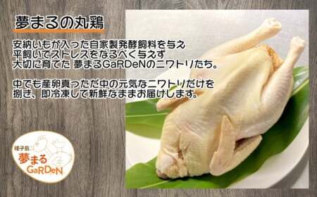 種子島 夢まるガーデン 丸鶏 平飼い (2羽)　NFN450 【725pt】
