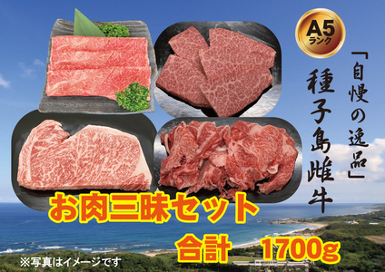 「 自慢 の逸品」 西之表市生まれの黒毛和牛 雌牛 お肉三昧 セット（計1.7kg）　NFN543 【1500pt】