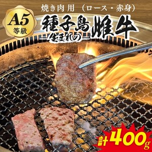 「 自慢 の逸品」 西之表市生まれの黒毛和牛 雌牛 焼肉 用（400g）　NFN541 【600pt】