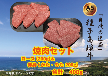 「 自慢 の逸品」 西之表市生まれの黒毛和牛 雌牛 焼肉 用（400g）　NFN541 【600pt】