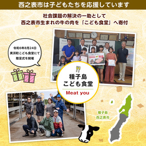 種子島 生まれ! 黒毛 和牛 BBQ 焼肉セット 1kg NFN547 【1425pt】