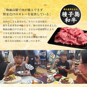 種子島 生まれ！  黒毛 和牛 肩ロース すき焼き 用 300g　NFN545 【600pt】 